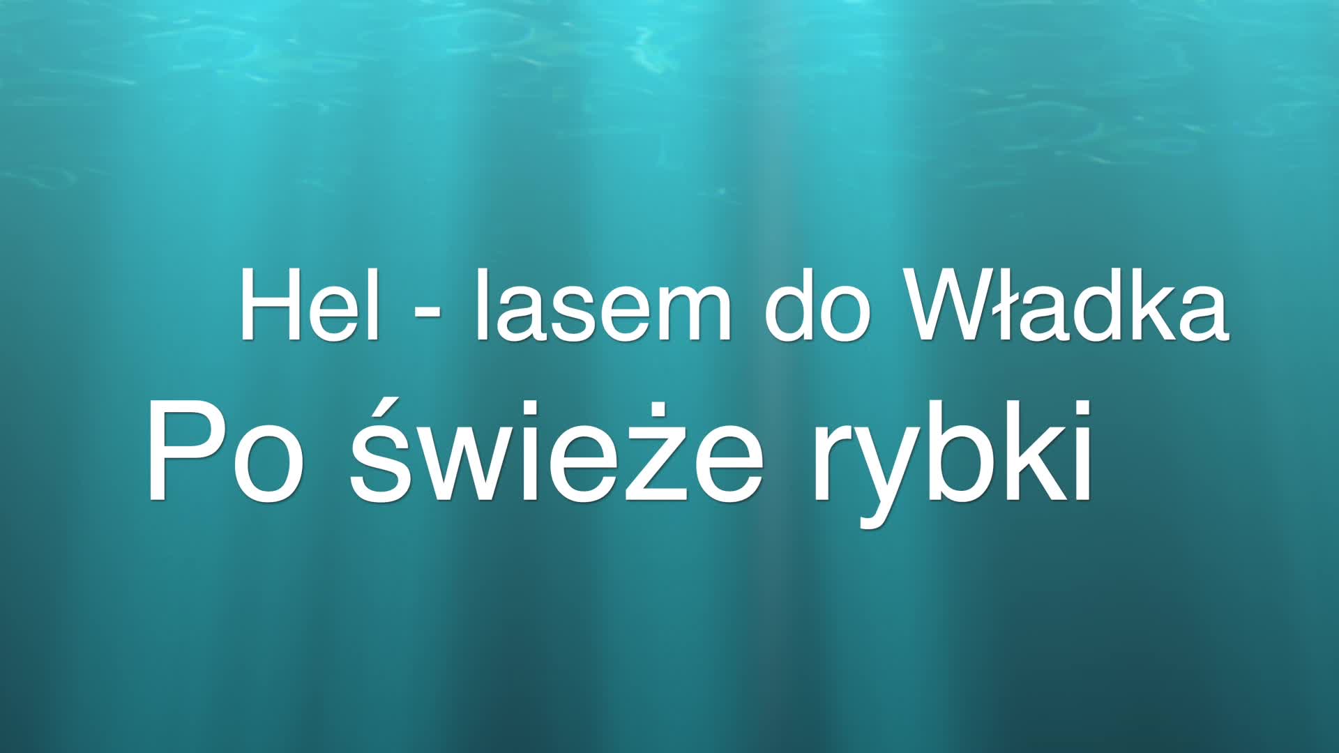 HEL - z Chałup przez las do Władka po rybki.