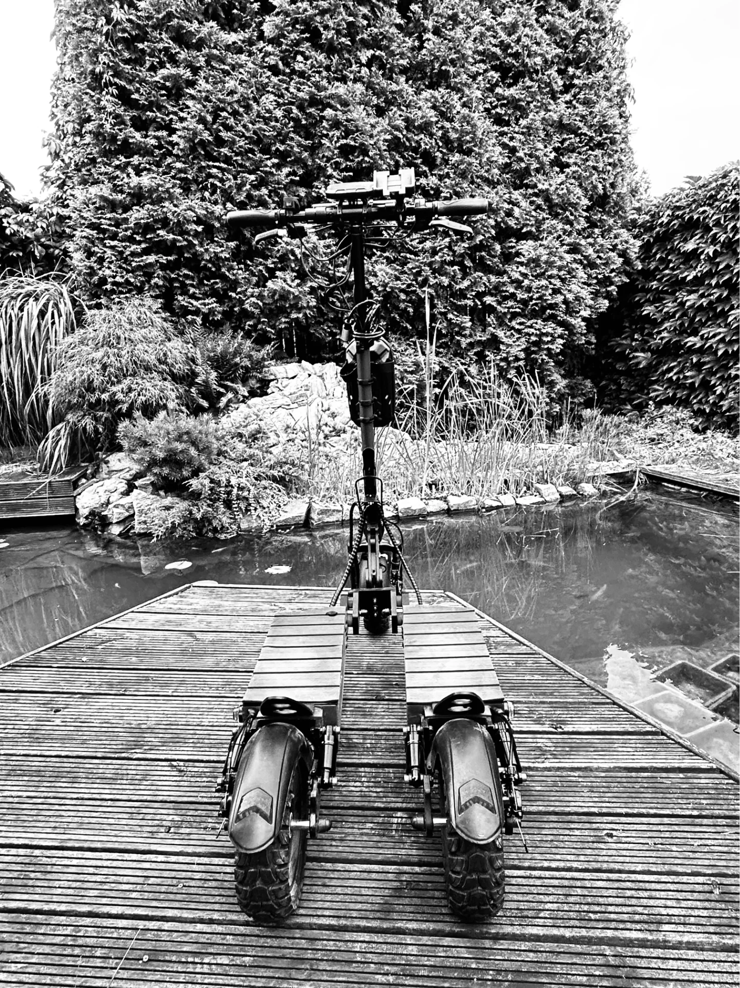 EL TRIKE Black in Black and White